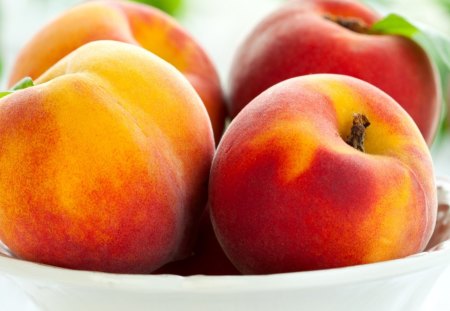 Peaches Fruit - nature, peaches, bowl, fruit