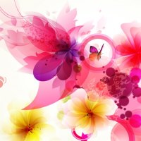 Butterflies Adore Flowers
