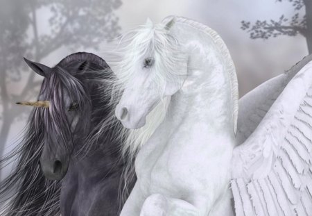 Horses - horses, pegasus, animals, unicorn