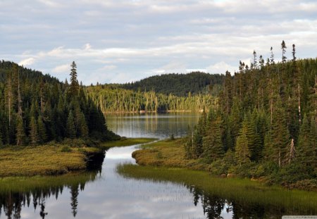 Mountain Lake - forest, water, daylight, blue, lake, sky, reflection, clouds, trees, nature, mountain, day, green