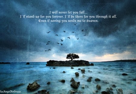 I will Never let you Fall - fall, heaven, forever, words, love