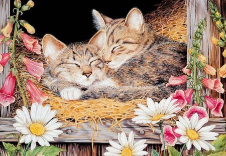 together forever - flowers, pets, cute, cats