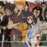 Bleach~Friends