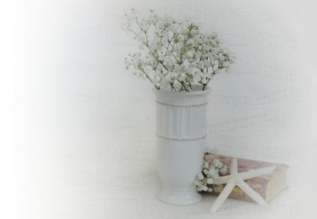 Still Life - flowers, starfish, white, still life