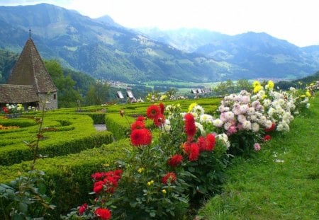 a flowery landscape - mountains, flowers, scenic, grass