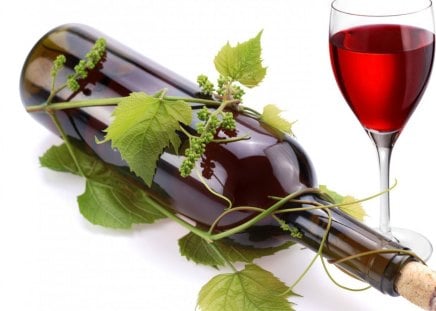 Just 1 glass of wine - sprig, grape, bottle, delicious, cool, petals, leaves, drink, wine, red, green, nice, glass