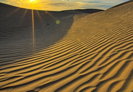 Desert Dawn - morning, sand, breath, sun