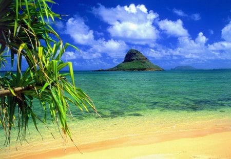 Vivid Green Ocean - nature, beach, ocean, sand