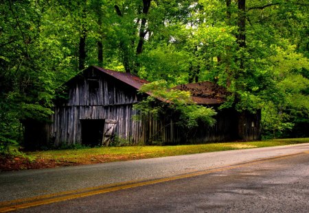 ABANDONED HOUSE - house, road side, nature, green, forest, abandoned