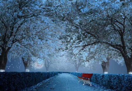 Moonlight Blue - moon, trees, light, night, park, bench, stroll, path, evening, blue