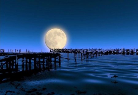 Moon Over Wharf - moon, large, water, blue, night, dock, pier, river, wharf, full