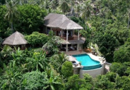 Welcome to the Jungle - secluded, home, luxury, jungle, rich, pool