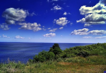 sky over the sea - sky, trees, greenery, water, summer, plants, vacation, blue, clouds, shrubs, sea