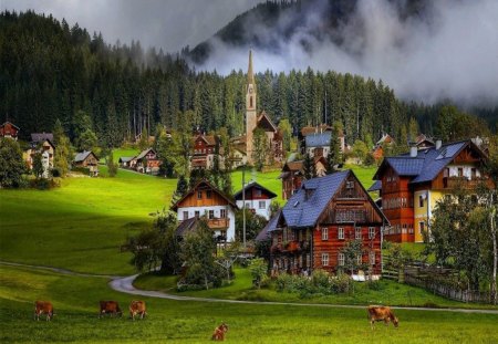 Peaceful Village - village, town, field, peaceful, farms, cows