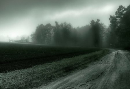 misty county country road - road, greyscale, country, mist