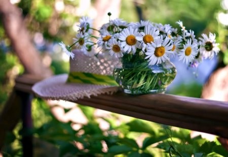 Daisies - beauty, bokeh, trees, hat, photography, daisy, still life, pretty, green, summer time, tree, daisies, fence, summer, lovely, vase, nature, white flowers, beautiful, sweet, flowers