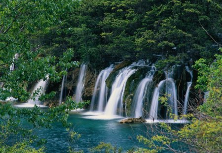 CACHOEIRAS - agua, arvores, fauna, verde, natureza