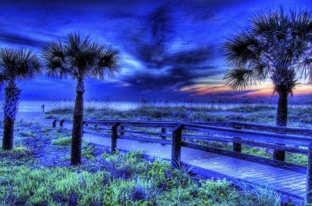 Blue Evening - clouds, trees, blue, evening, grass, night, ocean, palm, sunset, nature, land, day, sky, walkway