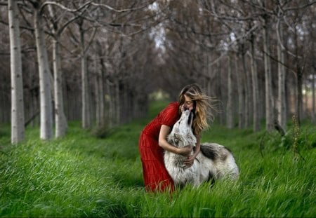 Forest Elf with best Friend - women, trees, predator, wolf