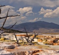 mammoth hot springs