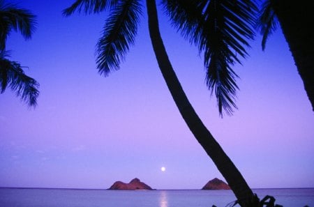 mokulua islands lanikai beach hawaii - islands, dusk, palms, beach