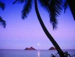 mokulua islands lanikai beach hawaii