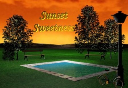 Sunset Sweetness - reflections, trees, pools, moments, nature, sunsets, life