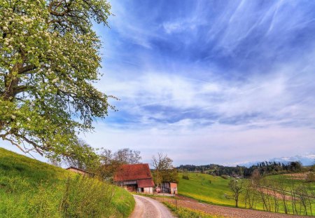 beautiful rural scene hdr - sky, farms, trees, rural, hdr