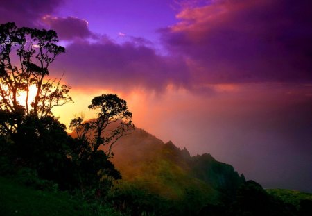 Wonderful sunset - trees, wonderful sunset, clouds, shadows, lovely colors, mountains, purple sky