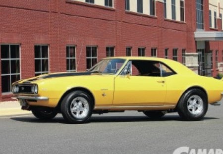 1967 Camaro - bowtie, yellow, gm, classic