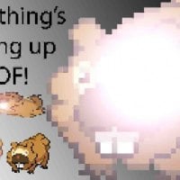 Bidoof Is The Best Pokemon