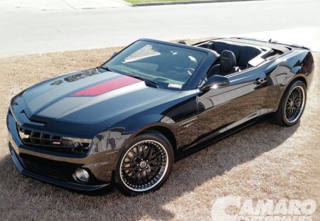 2011 45th Anniversary Camaro - black, bowtie, gm, conv