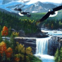 freedom falls