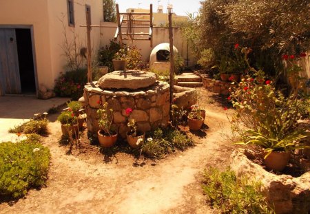 Garden in Cyprus - house, cyprus, flowers, garden