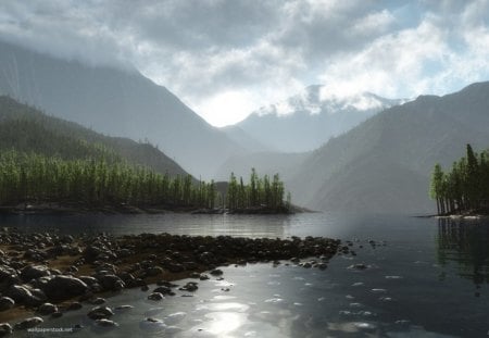 evergreen landscape - fog, mountains, trees, rocks