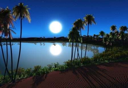 oasis night - moon, nature, water, trees