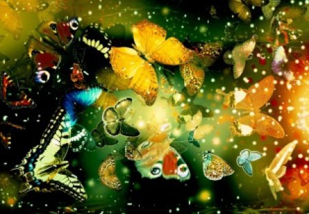 BUSY BUTTERFLIES - cg, insects, butterflies, colourful, desktop