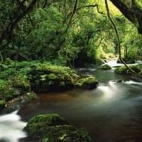 PEACEFUL MEANDER