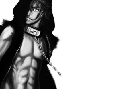 Kiba Inuzuka - anime, kiba inuzuka, white background, hood, collar, kiba, naruto shippuuden, naruto, plain background, inuzuka kiba