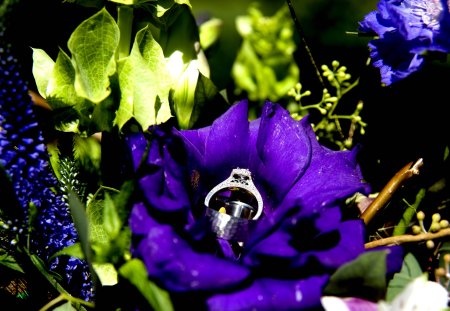 ~ღ♥ For One More Day ♥ღ~ - deep violet, romantic, purple lover, fashion, entertainment, precious, purple, ocasion, proposal, purple haze, diamant, special, ardent, wonderful, white gold, green, ring, dark purple