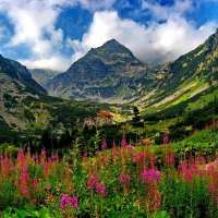 House in the mountain