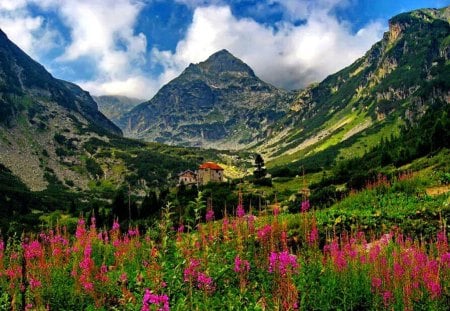 House in the mountain - house, summer, cabin, beautiful, grass, peaks, mountain, flowers, nature, purple, red, green, peaceful, cottage