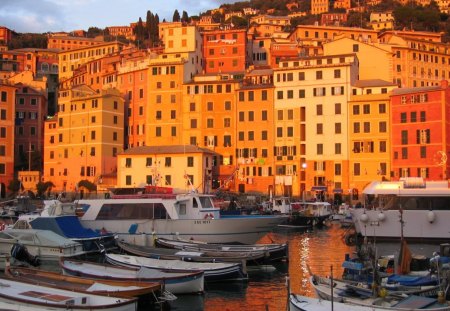 sunlit camogli italy - boats, sunlight, marina, buildings