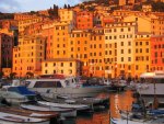 sunlit camogli italy