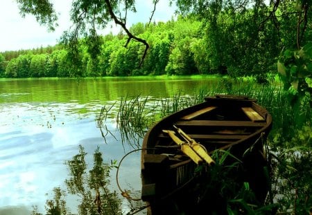 Green oasis - forests, rivers, boat, nature, grass