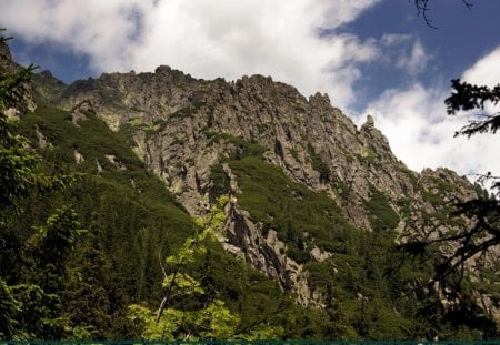 by the way, on a mountain trail - sky, trees, greenery, summer, mountains, peaks, plants, rocks, clouds, blue