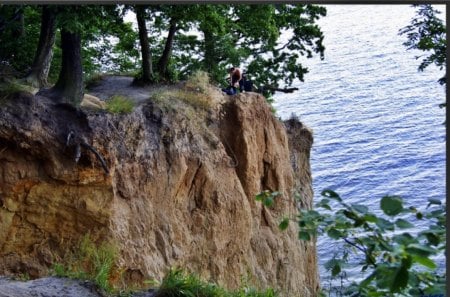 on the cliff - hill, slope, trees, cliff, summer, shore, plants, nature, blue, soil, green, rock, sea, pines