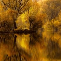 Autumn in the mirror