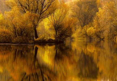 Autumn in the mirror - lake, forest, mirror, autumn