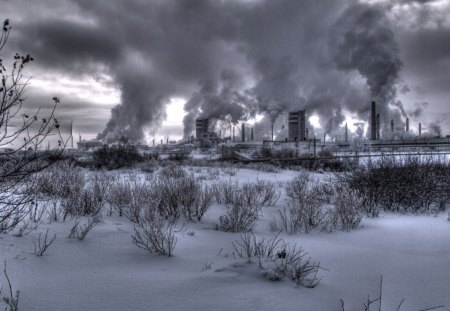 nuclear winter - plant, winter, field, nuclear